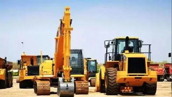 新蔡練村鎮(zhèn),一個誕生神秘與傳奇的地方